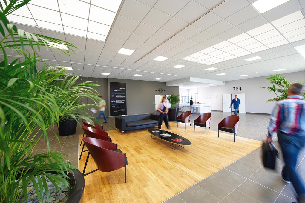 Premises Tancogne Group